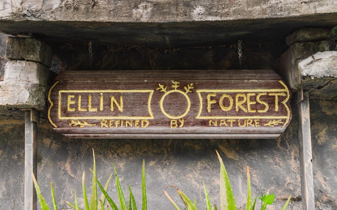 Ellin Forest Karaoke & Pool Resort Bukit Tinggi 벤통 외부 사진